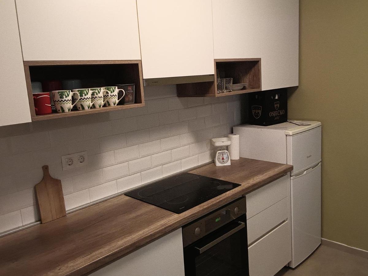 Apartman Terra Centar, Free Parking أوسييك المظهر الخارجي الصورة